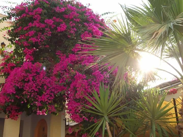 Hotel Sweetmemory Agia Marina  Exterior foto